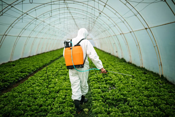 Best Best Pest Control Companies  in Ocean Acres, NJ
