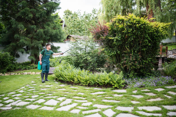 Professional Pest Control in Ocean Acres, NJ