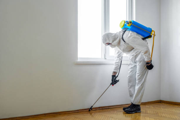 Best Flea Control Services  in Ocean Acres, NJ