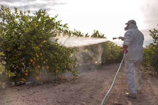 Best Pest Removal Services  in Ocean Acres, NJ