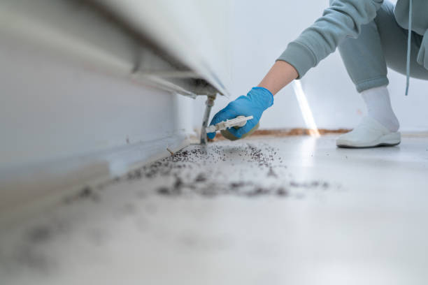 Best Wasp Removal Services  in Ocean Acres, NJ